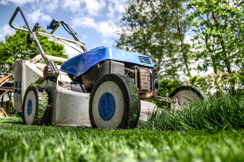 Garden Fertilization